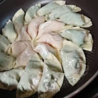 明日の朝御飯は鳥餃子です。