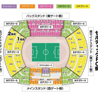 7/26 (水) 国立競技場 FCバイエルン・ミュンヘン VS マンチェスター・シティFC カテ2 メイン2層（チケット2枚/グッズ無し）