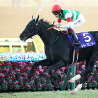 キラーアビリティの競走馬登録抹消