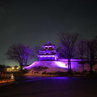 高田城三重櫓のブルーライトアップ