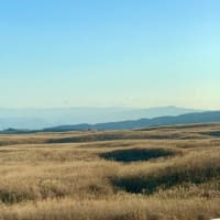 ChatGPTを使って戦わせてみた　第四回戦　全盛期のスパルタ兵300人（ギリシャ）VS 最盛期の新選組300人（日本）