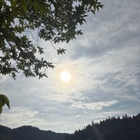 眠くて眠くて