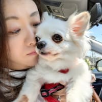 小さな家族のために