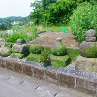 森稲妻神社の御神木と森殿原の宝塔