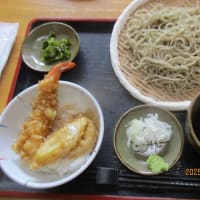 逃亡者は北へ向かう