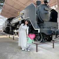 仙台のお花見🌸地下鉄東西線・大町西公園駅
