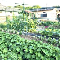 6月20日(金)②