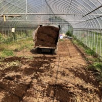 ハウスにスイカを植える為の作業
