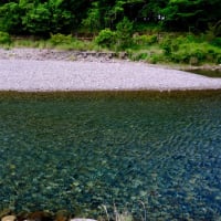 清流沿いのキャンプ場-三重県紀北町：「キャンプ inn 海山」