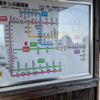 たますんブログ12回目