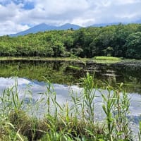 知床五湖とプール