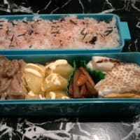 週に一度のお弁当♪