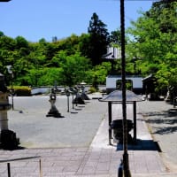 美しき庭園-和歌山県岩出市：根来寺