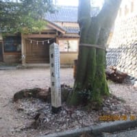 高天神城