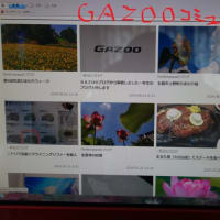 ＃ＧＡＺＯＯ（ハッシュタグ）について