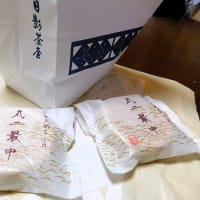 #9364 日影茶屋の丸二最中😄