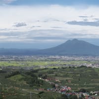 岩木山と津軽平野　ギガピクセル