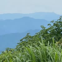 ヘロヘロの医王山