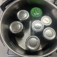 びわ収穫