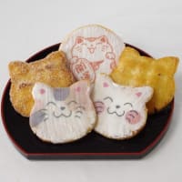 猫せんべい・にゃんべいを撮影してみてた