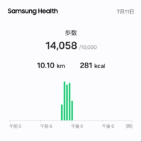 自宅起点散歩の日。