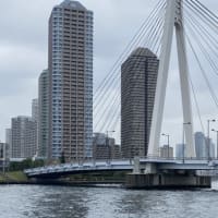 「荒川・隅田川の秘密を描く！村松昭の絵地図」