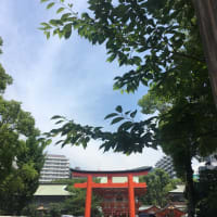 追い風びゅぅぅぅぅぅ