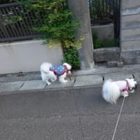 あぢぃ～