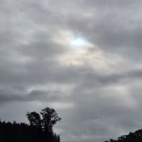朝空