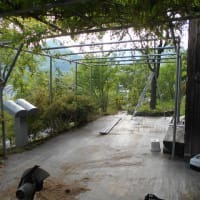 再開しました「みなかみ花見山」をまたよろしくお願いします。