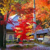 永源寺の紅葉