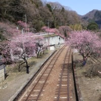 わたらせ渓谷鐵道神戸駅
