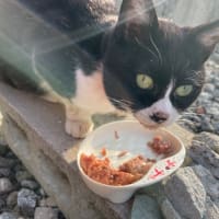 思い出が多すぎて、詰まっていて(その２)