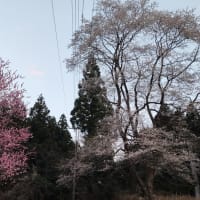 快便の異常
