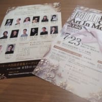 素敵なバレー公演のご案内