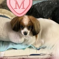ほのかの日記💫🌈