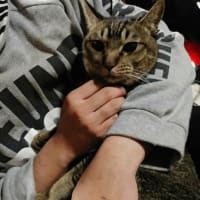 今日からブログ始めました！