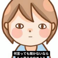 言っても無駄