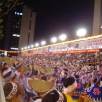 四国を巡って思ったこと