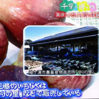 千葉の贈り物　千葉県袖ケ浦市の「いちじく」のご紹介（フジテレビよりご紹介）