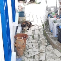 塩屋散歩