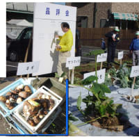 病気と外注の対策