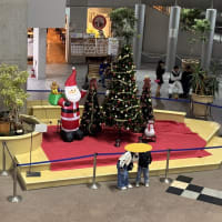 すっかりクリスマス仕様です