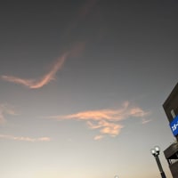 日々、努力する
