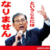 【国民全員必見】2025年7月20日参議院選挙！落選させよ！売国財務省議員！キシキン解説