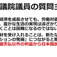 神谷宗幣は本物だね！　武田教授の批判は残念だけどね、政治家には向かないからね　神谷宗幣は「憂国の志士」になれる！　