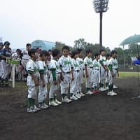 青少年対策新井宿地区ソフトボール大会