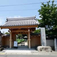 平塚の蓮寺として人気高い「松雲山要法寺」