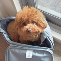 術後　５１日目
