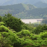 熊野詣　PART7③　－－ちょっとより道　見晴台地－－